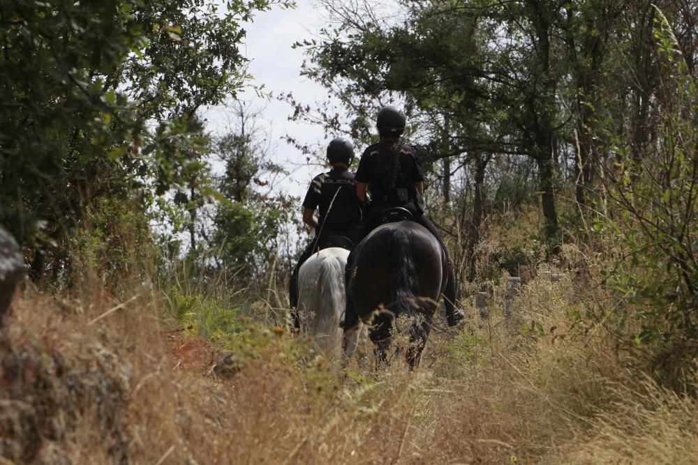 Vigilancia a caballo contra el fuego