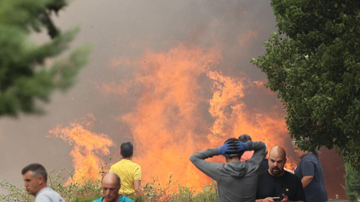 Incendio forestal de Añón de Moncayo