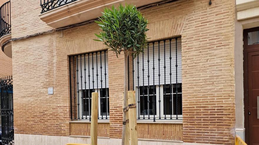 Replantación de árboles en Aldaia.