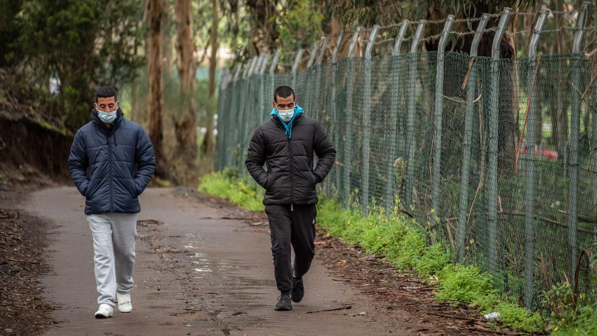 Inmigrantes caminan por la carretera en dirección a La Laguna