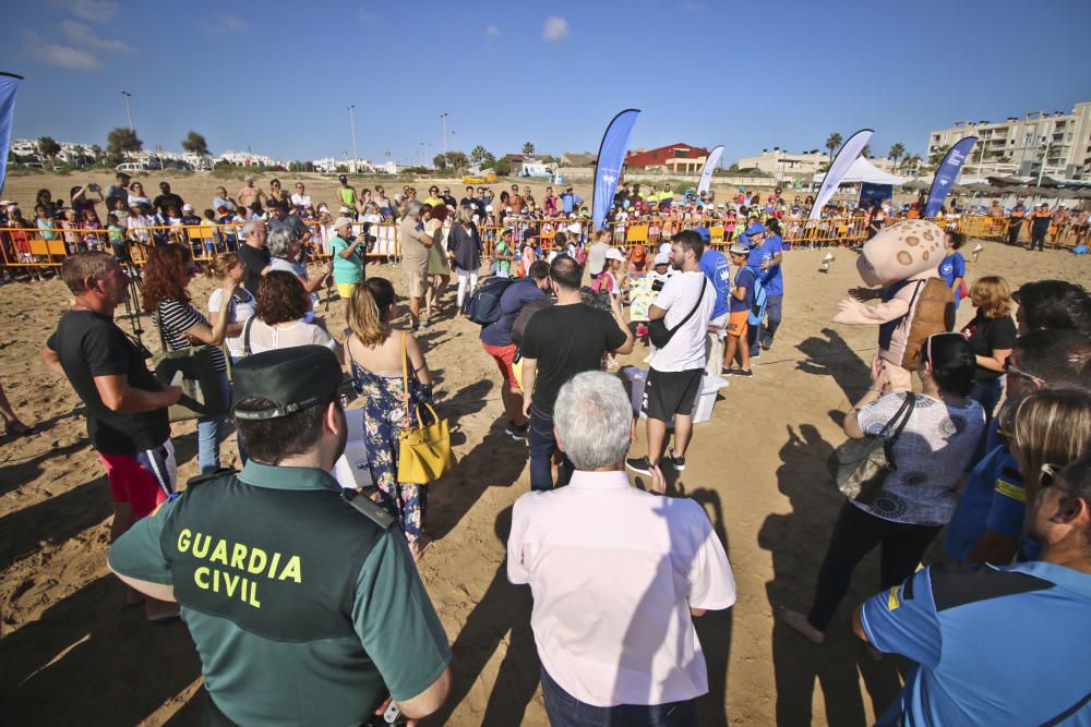 Ocenanogràfic, Acuario de Sevilla, y el Ayuntamiento de Torrevieja organizaron una suelta de 6 tortugas jóvenes procedente de un nido de las playas de Sueca (Valencia) con la participación de escolare