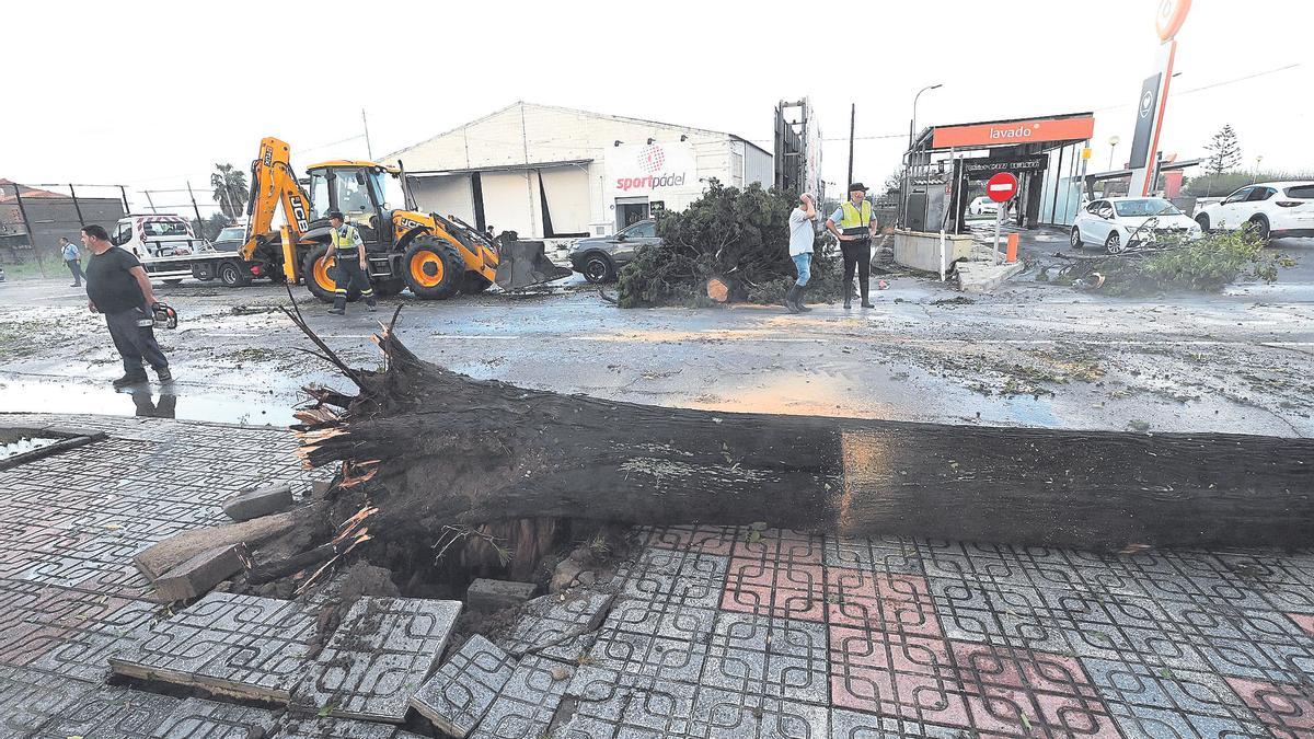 Árboles caídos y calles anegadas en Burriana tras el reventón término de septiembre del 2023.