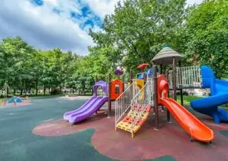 Los parques infantiles están repletos de parásitos: ¿qué podemos hacer?