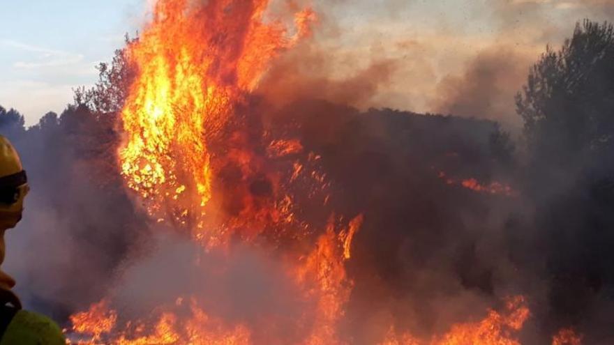 Un bombero frente a las llamas, ayer, en el frente de Llutxent.