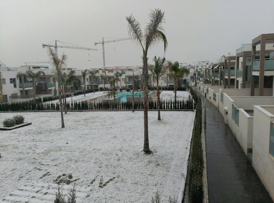 Una fina capa de nieve ha cubierto las playas, los techos de los vehículos, zonas verdes y tejados de Torrevieja, Orihuela Costa y Pilar de la Horadada