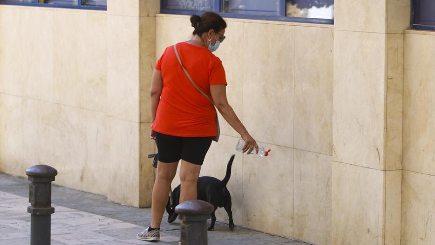 Castalla redobla la vigilancia contra los orines y excrementos de perros