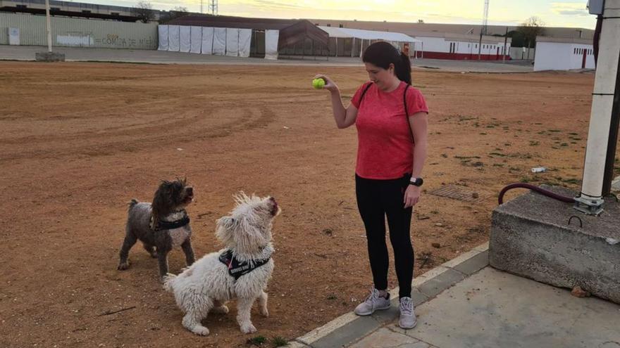 María José Sánchez tiene dos perros de agua: «He conocido a mucha gente por mis perros»