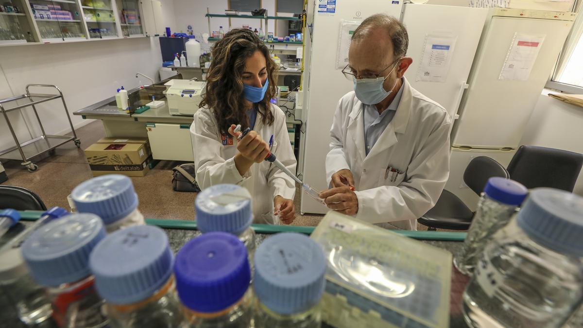 Marta García y Antonio Ferrer, en el laboratorio del Idibe en Elche.