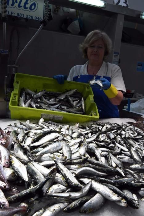 San Juan A Coruña 2017: Sardinas en las plazas