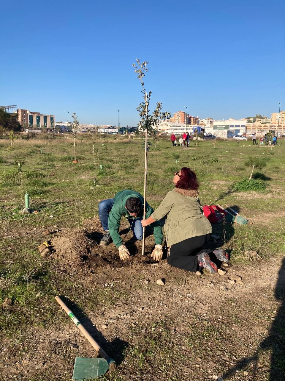 Bosque Urbano planta otros 30 árboles en los antiguos terrenos de Repsol