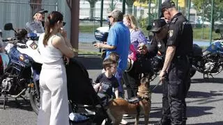 VÍDEO: Cientos de niños de Avilés conocen nuevas actividades extraescolares y a los cuerpos de seguridad en el festival Abilius Polis