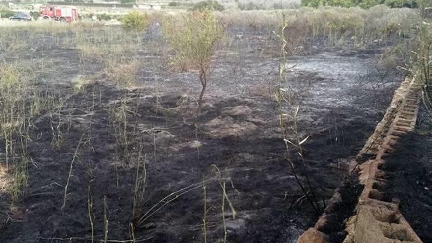 Arden naranjos y parte de un jardín en la Sella de Jesús Pobre