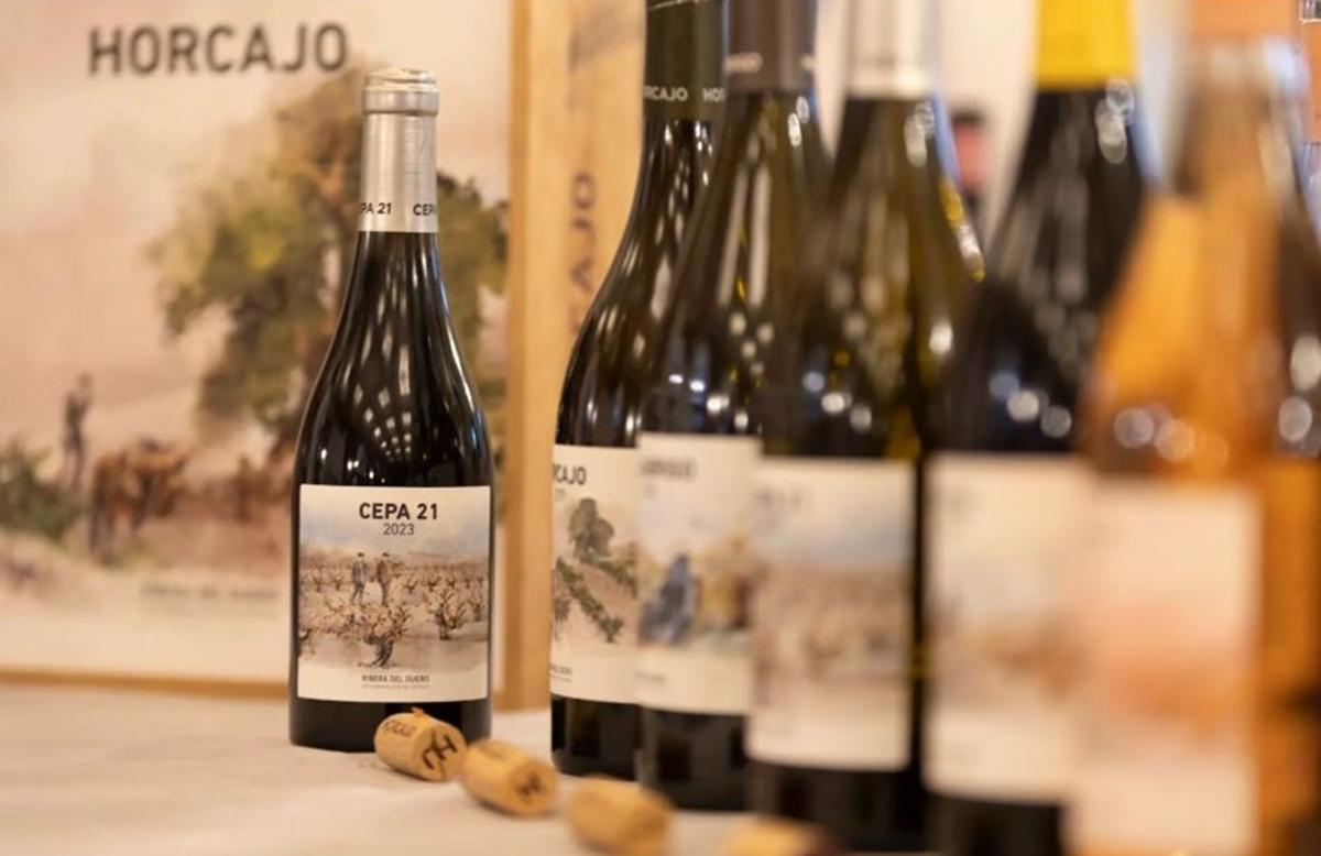 Botellas de Cepa21.