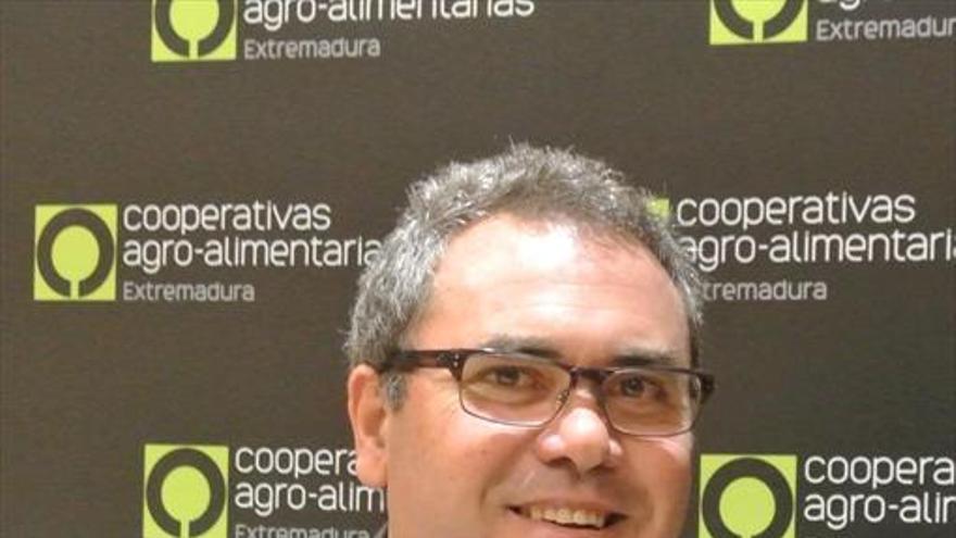 «Las cooperativas han demostrado su valor estratégico en la crisis del covid-19»