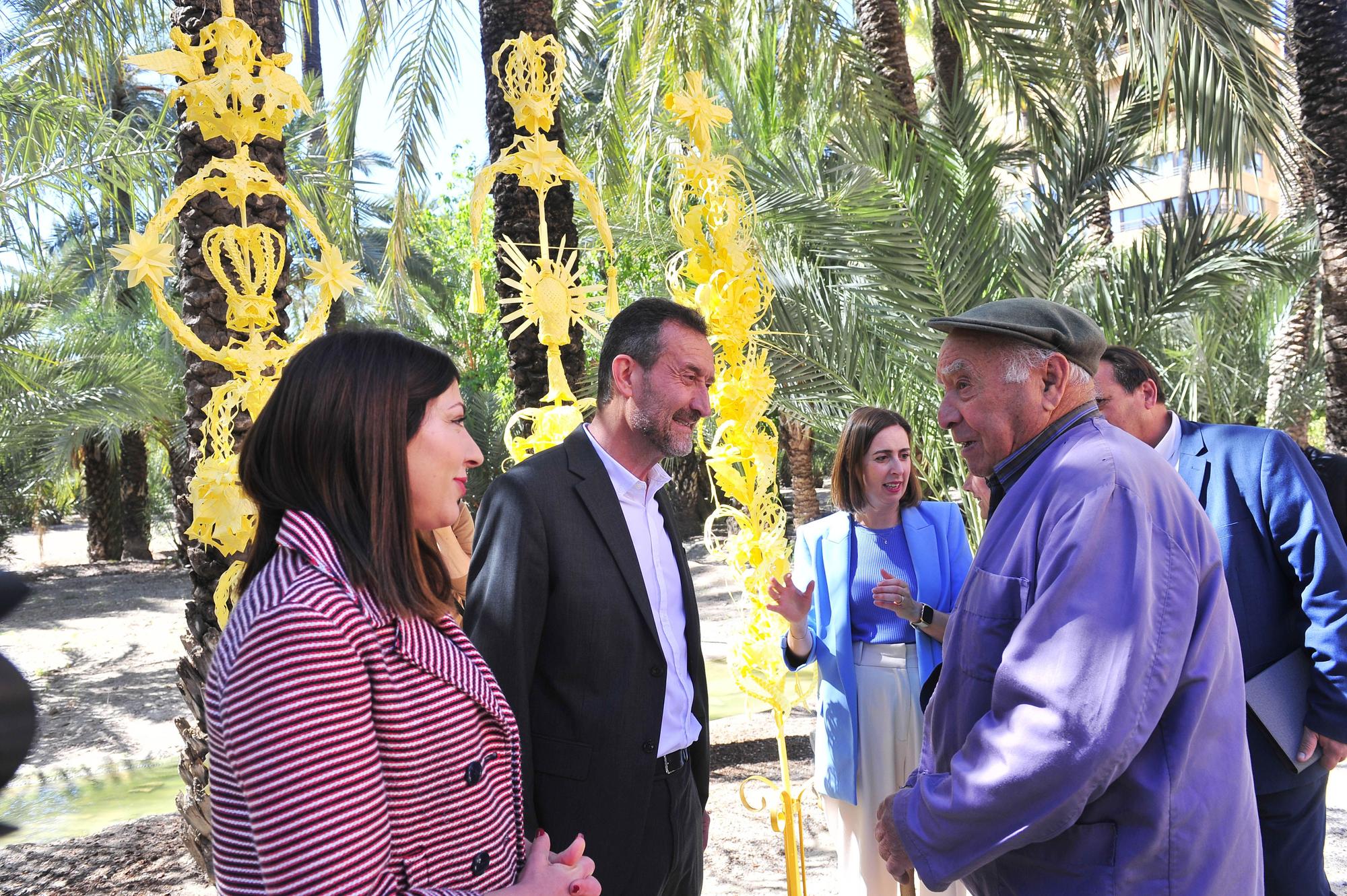 Elche envía unas majestuosas palmas blancas al Papa, a la reina Letizia y a Pedro Sánchez