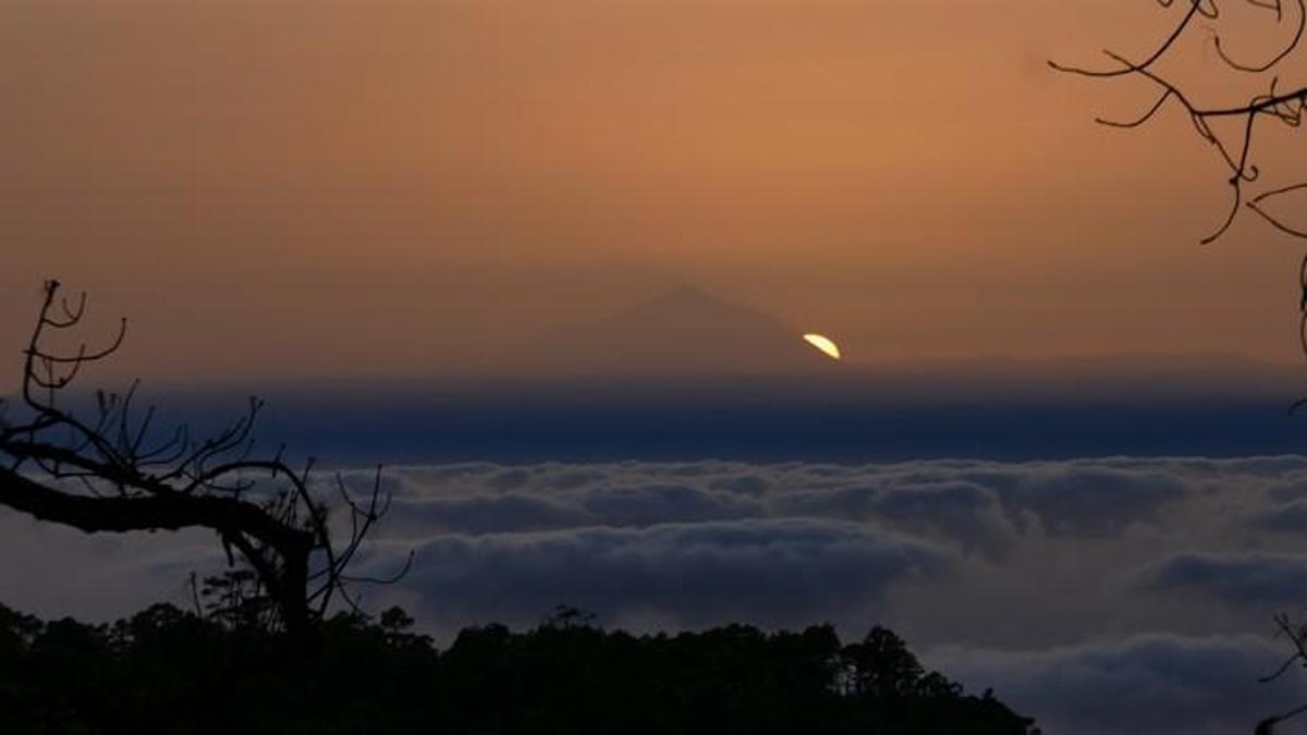 Mágica puesta de sol desde el Pinar de Tamadaba