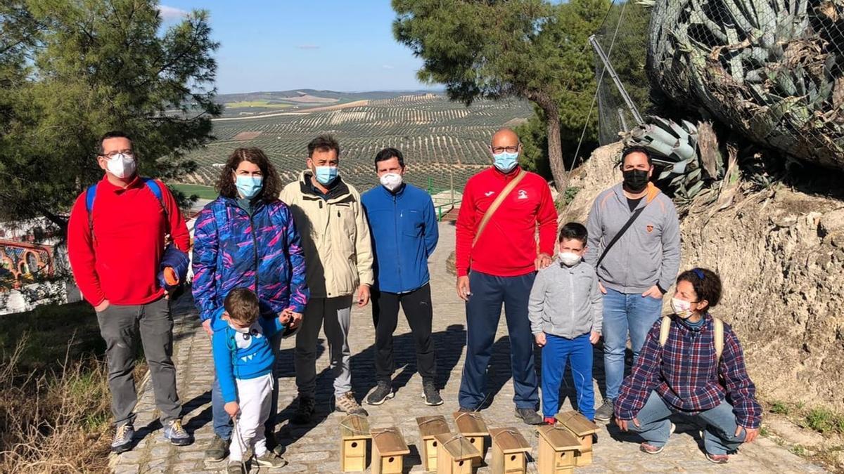 Colocación de cajas nido en el Pinar