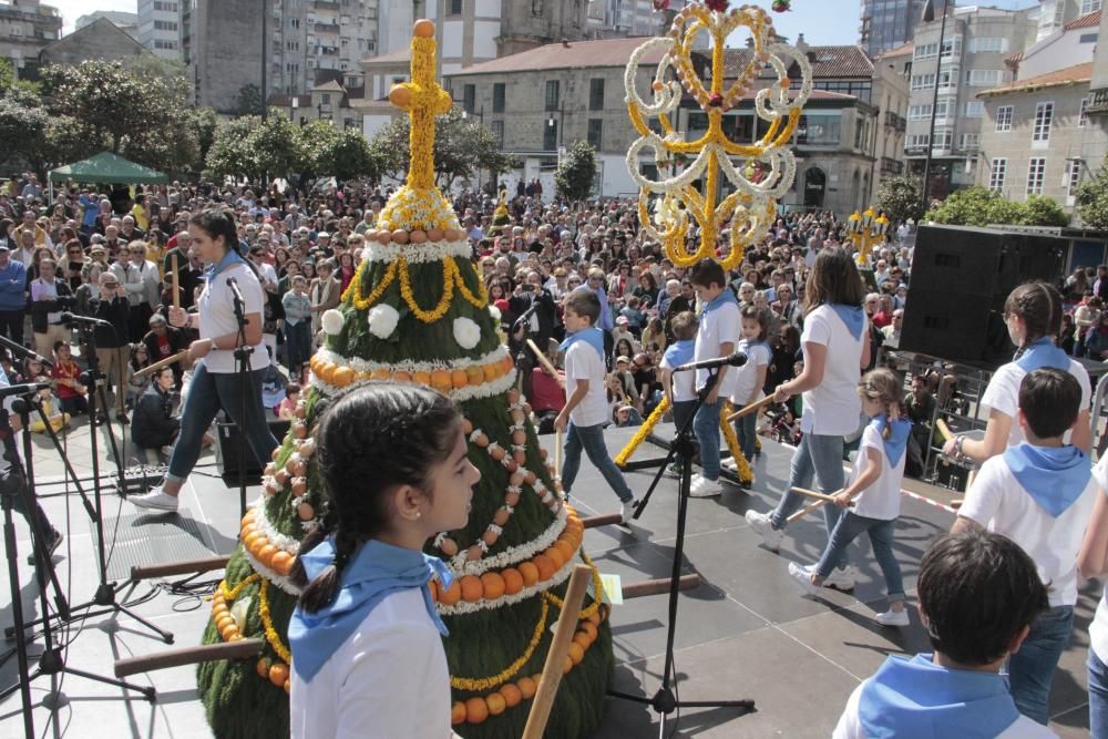 Cantos, humor y flores en los "maios" de Pontevedra