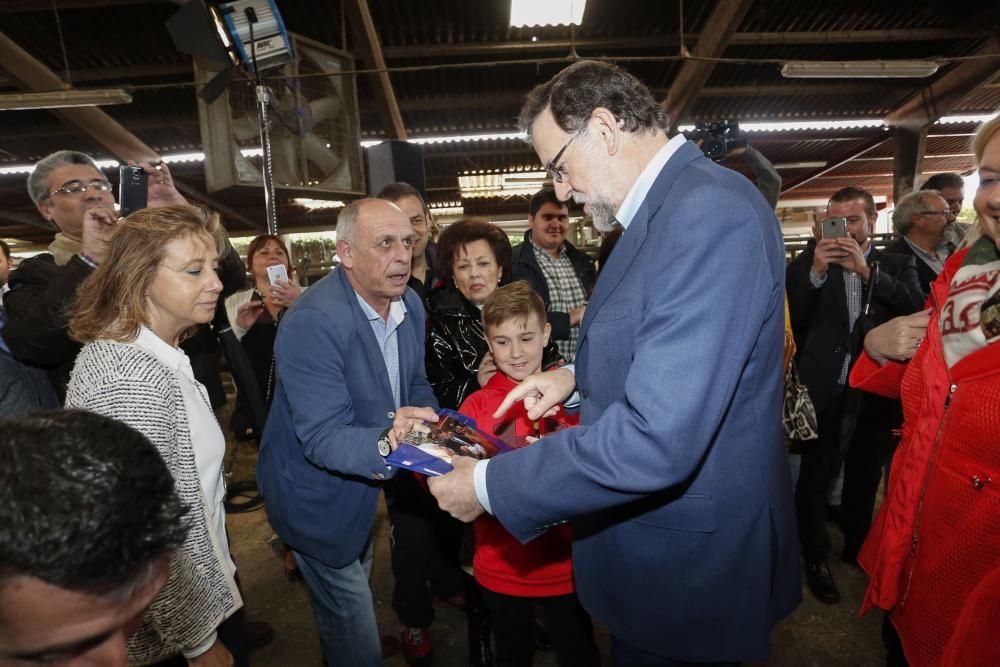 Visita de Mariano Rajoy a una ganadería en Gozón (Asturias)