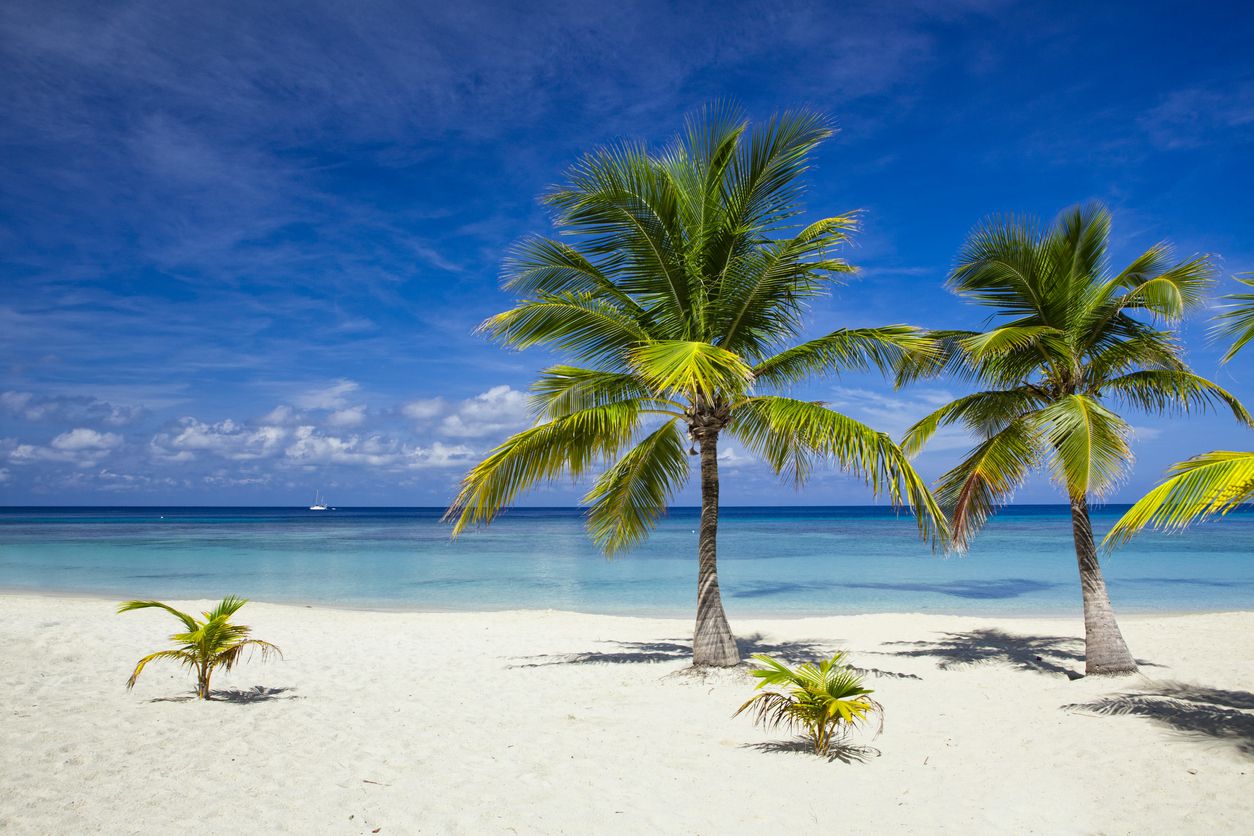 Palmeras en una playa tropical en Honduras.