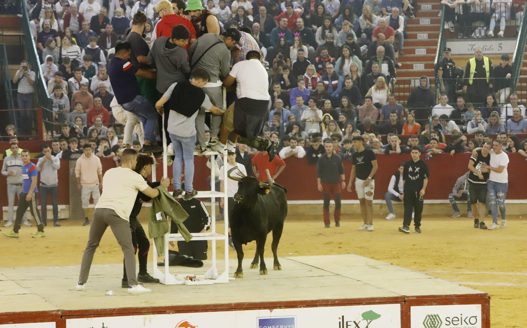 Búscate en la vaquillas del miércoles 12 de octubre