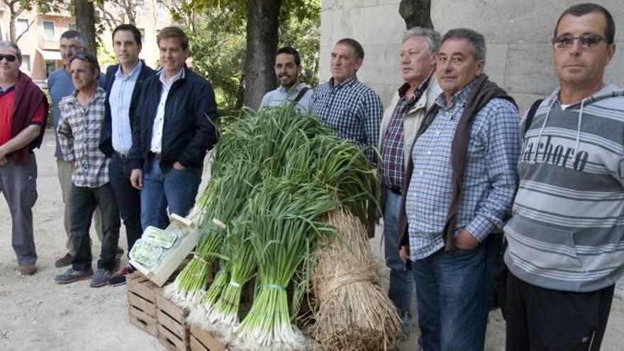 Los productores de ajo de Xàtiva se alían en busca de la denominación de origen