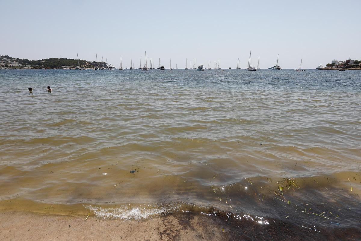 Vertido de aguas residuales en Talamanca en 2019.