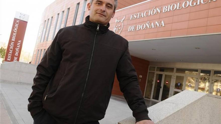 Negro lamenta fuga del mejor investigador de la Estación Biológica de Doñana