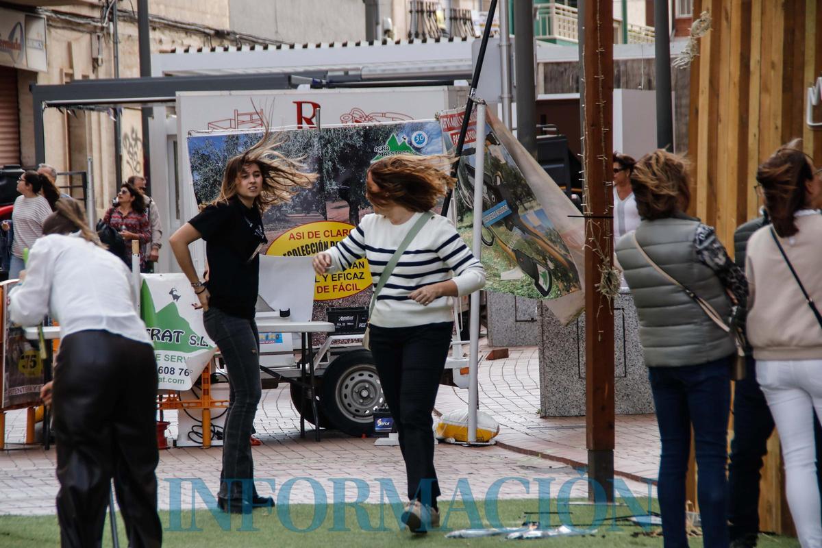 El viento obliga a suspender la Fira de Tots Sants de Cocentaina