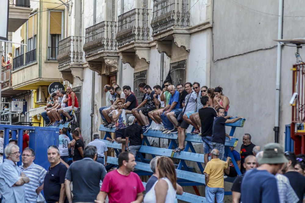 Fiestas de la Vaca de Castalla.