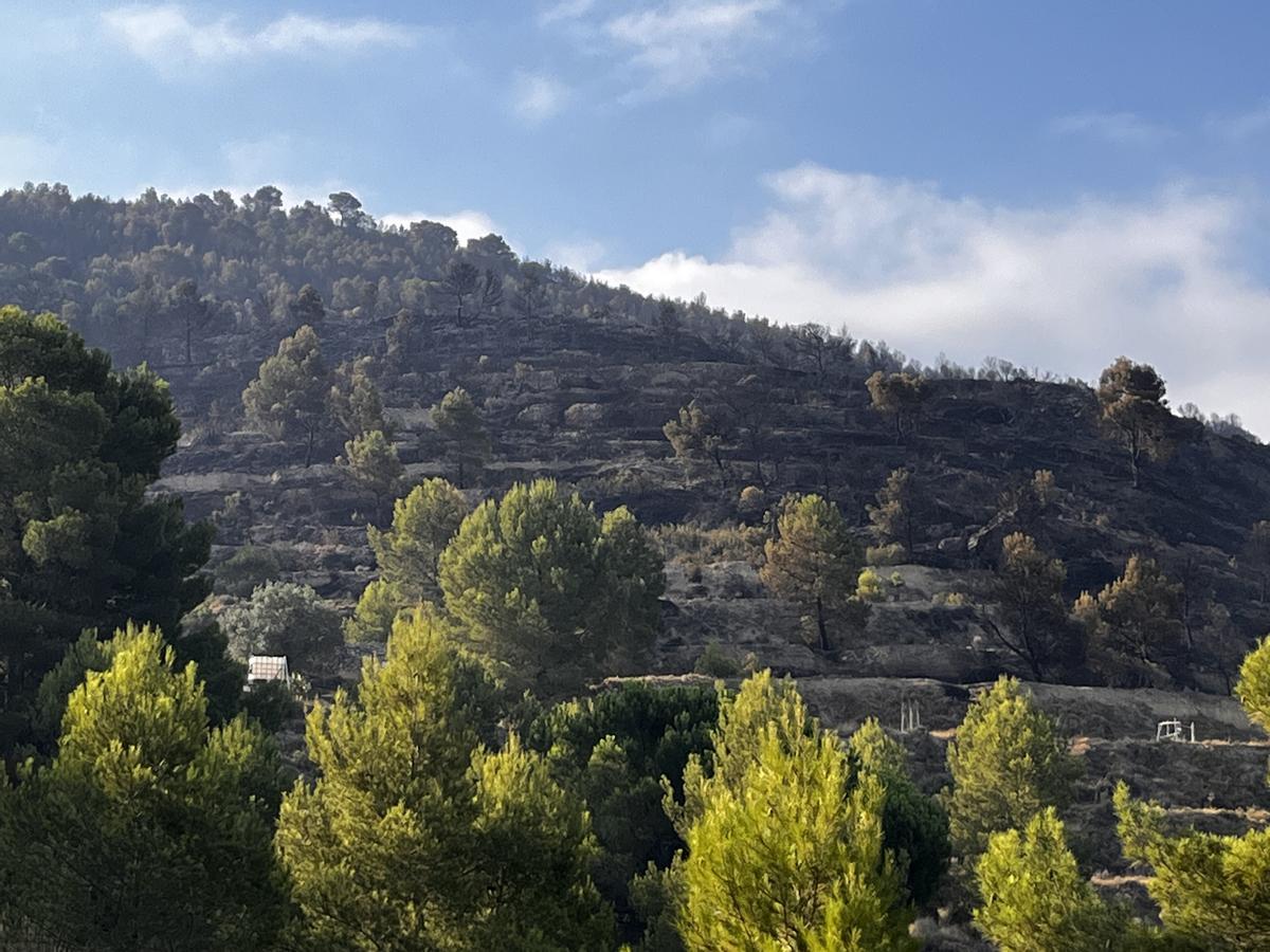 Imagen de la zona tras las labores de extinción.