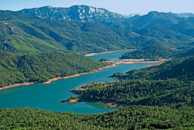 Jaén, mar de olivos milenarios