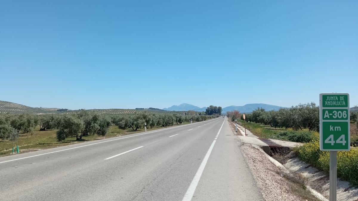 Imagen de la carretera A-306.