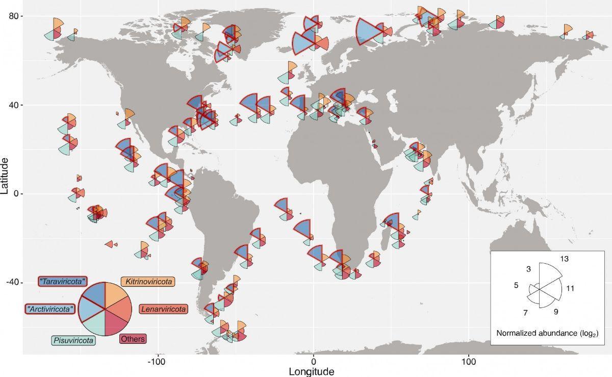 Este mapa muestra la distribución de los virus de ARN en los océanos a nivel global.