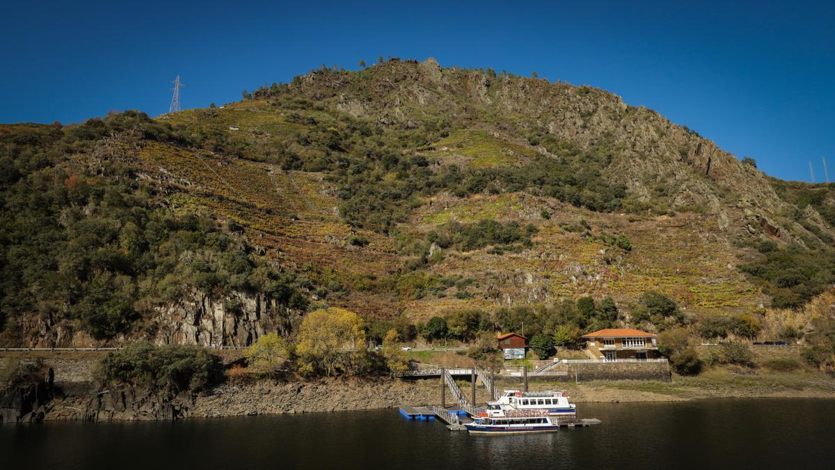 As rutas en catamarán apuntalan á Ribeira Sacra coma destino de referencia con 26.000 viaxeiros