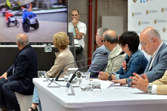 Pleno sobre accesibilidad en el Cabildo de Gran Canaria