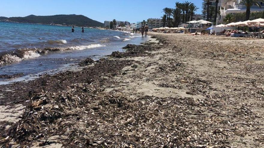 Imagen aportada por Fomento del Turismo tomada ayer en Platja d&#039;en Bossa