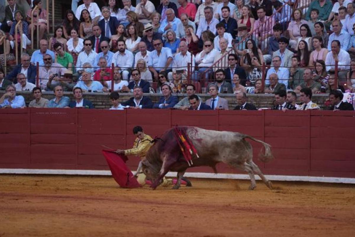 Tercer festejo taurino de la Feria de Córdoba, en imágenes