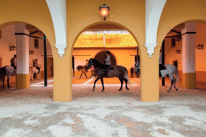 Royal Andalusian School of Equestrian Art, in Jerez de la Frontera