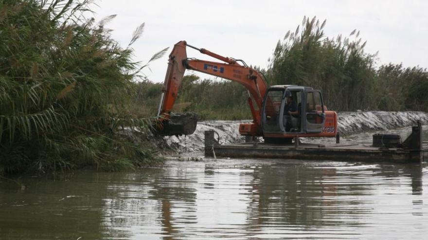 Limpieza y dragado en l´Albufera