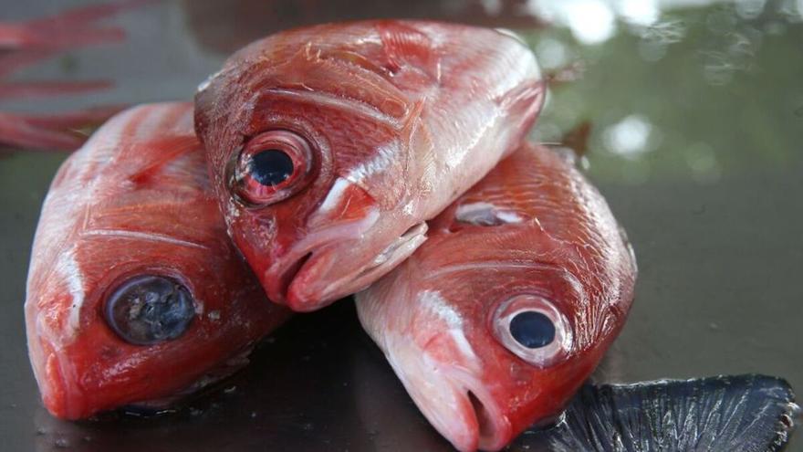Estas son las especies de pescado más seguras que puedes consumir por sus bajos niveles de mercurio