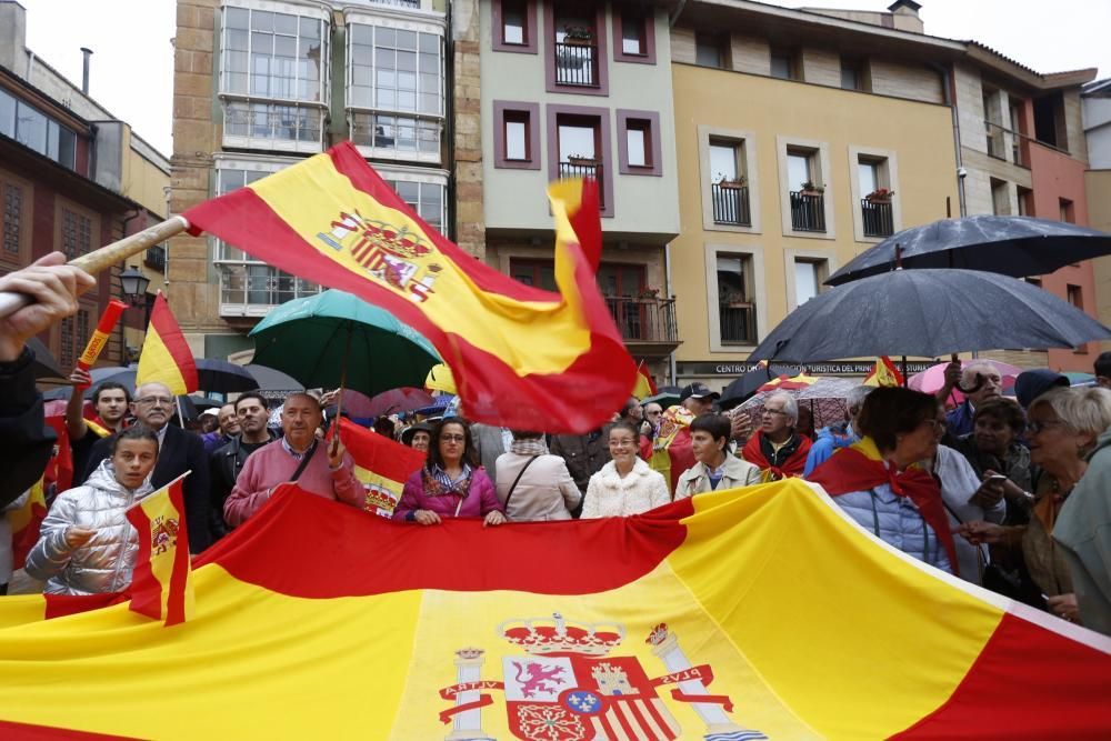 Manifestación en Oviedo por la unidad de España