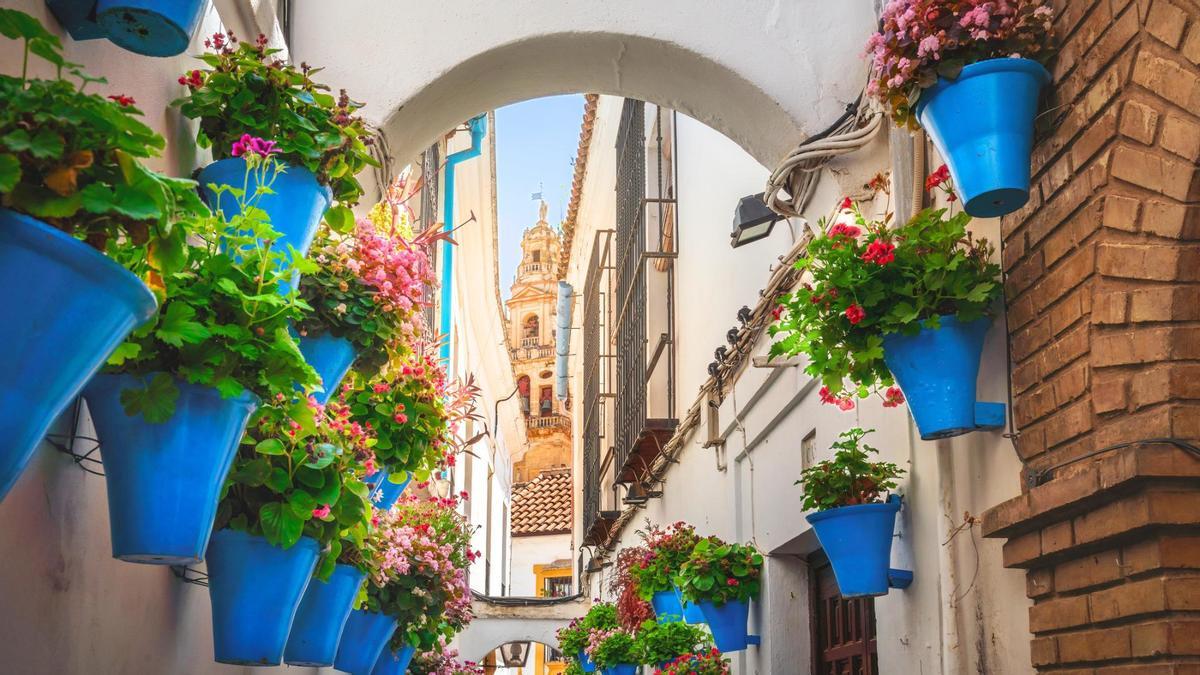 Con el tiempo, esta calleja se ha convertido en una de las vistas más emblemáticas de la ciudad.