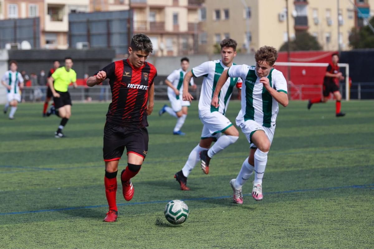 Séneca-Córdoba. Derbi de la División de Honor Juvenil.