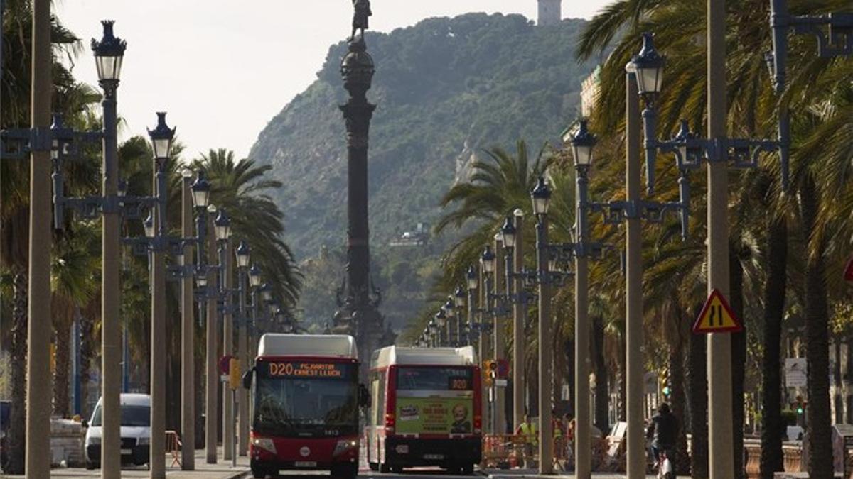 Dos buses de la línea D-20 coinciden en el paseo de Colón, el pasado martes.