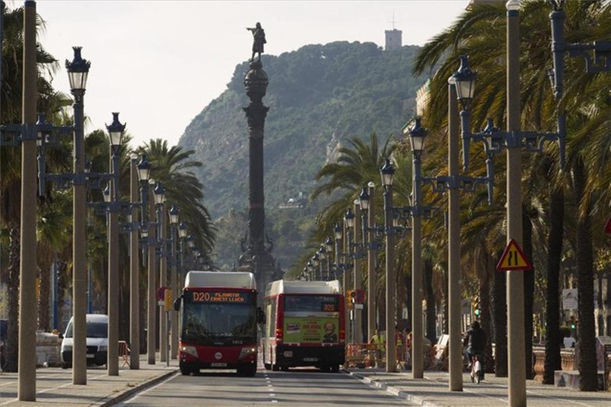 Dos busos de la línia D-20 coincideixen al passeig de Colom, dimarts passat.