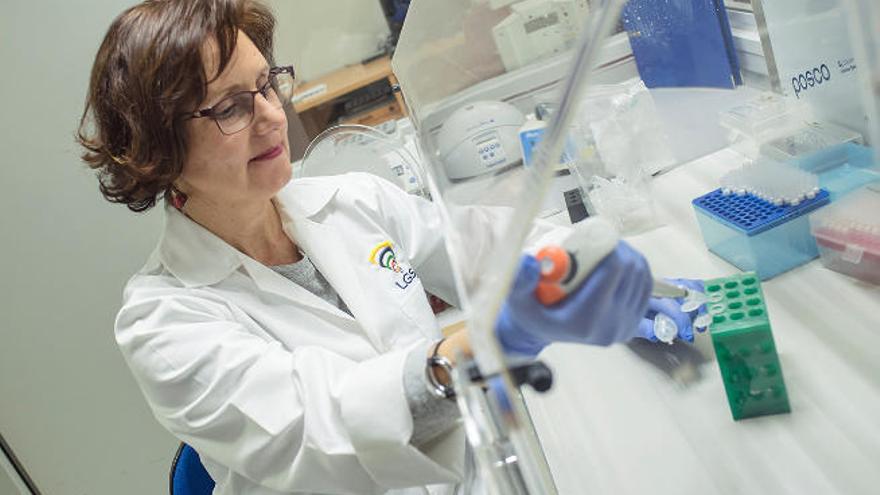 Un tercio de los tests de paternidad en las Islas revelan que el hijo es de otro