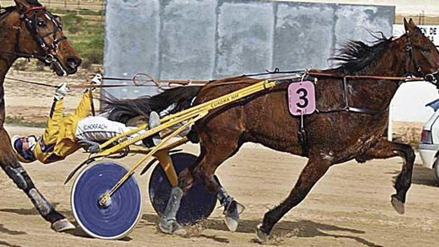 Guille Horrach en su victoria de ayer con Bon Riezais.