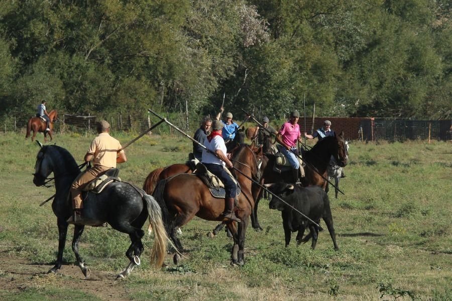 Encierro taurino en San Miguel de la Ribera