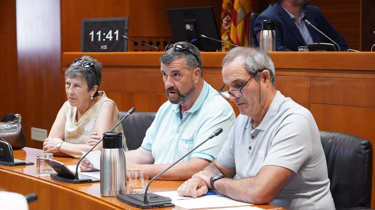 José Alfredo Polo y Manuel Remiro, vecinos de Los Cabezos de Épila, han comparecido en Comisión de las Cortes de Aragón.